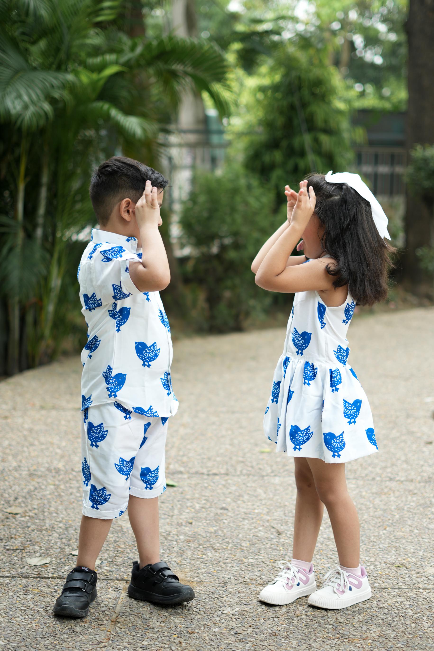 Blue Bird Brother Sister Combo